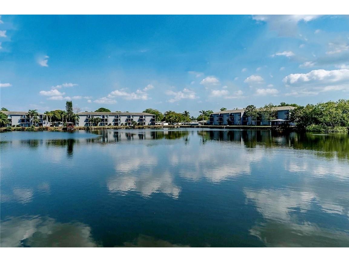 11485 Oakhurst Road #1200-303 Largo FL 33774 TB8446141 image19