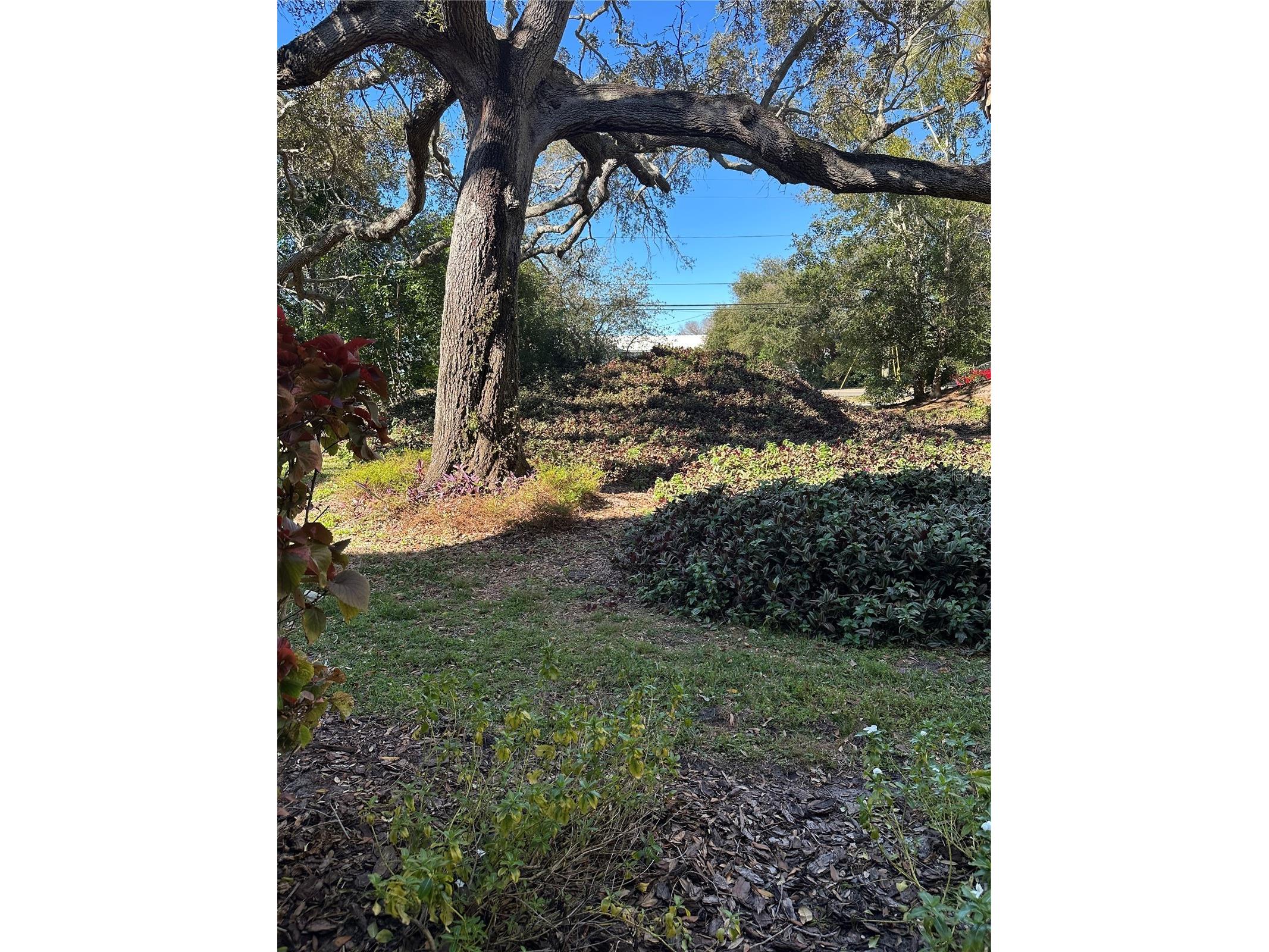 11485 Oakhurst Road #200-114 Largo FL 33774 TB8471419 image24
