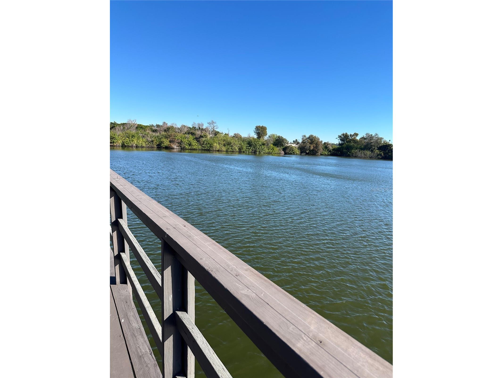 11485 Oakhurst Road #200-114 Largo FL 33774 TB8471419 image41