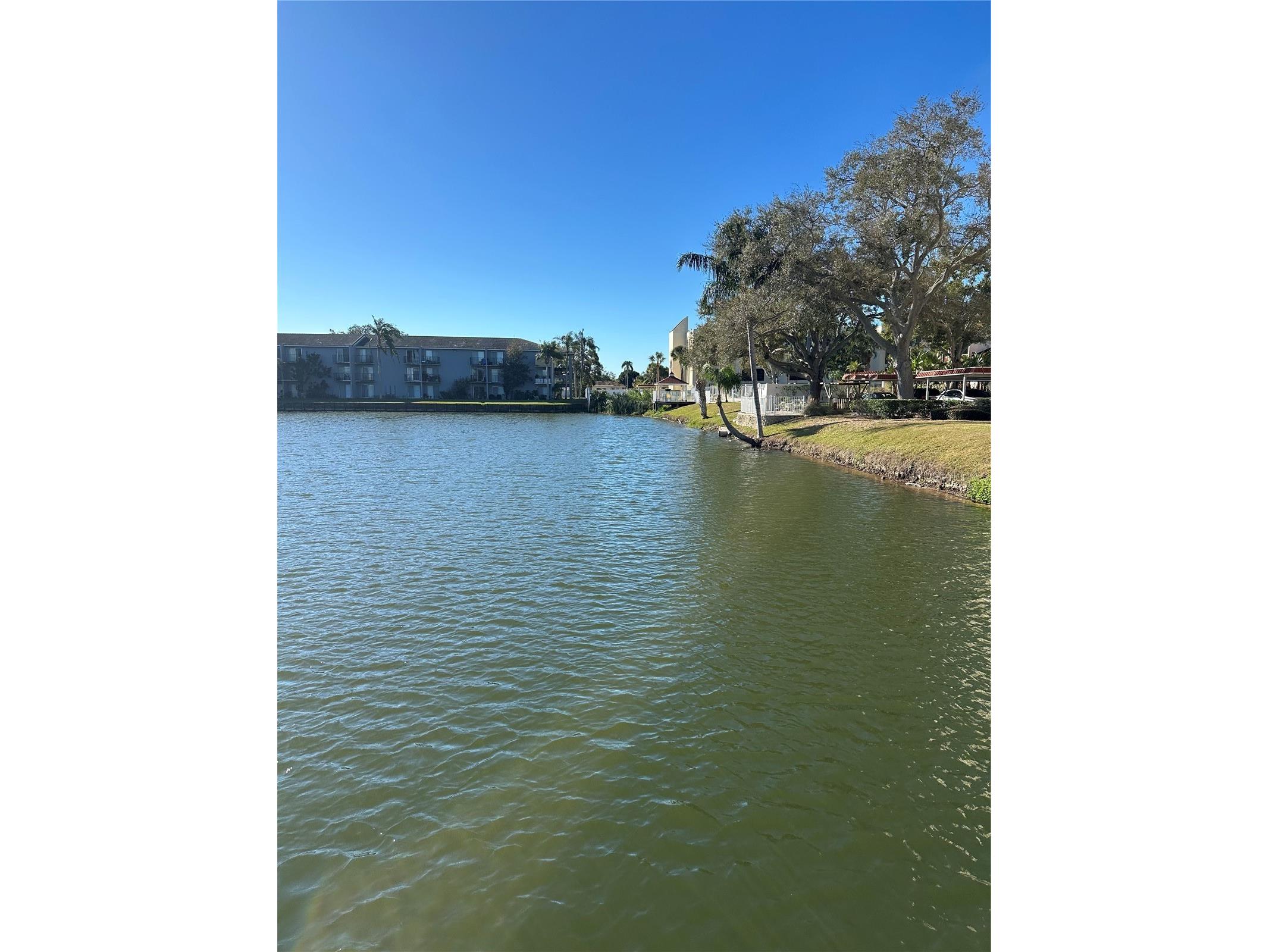 11485 Oakhurst Road #200-114 Largo FL 33774 TB8471419 image42