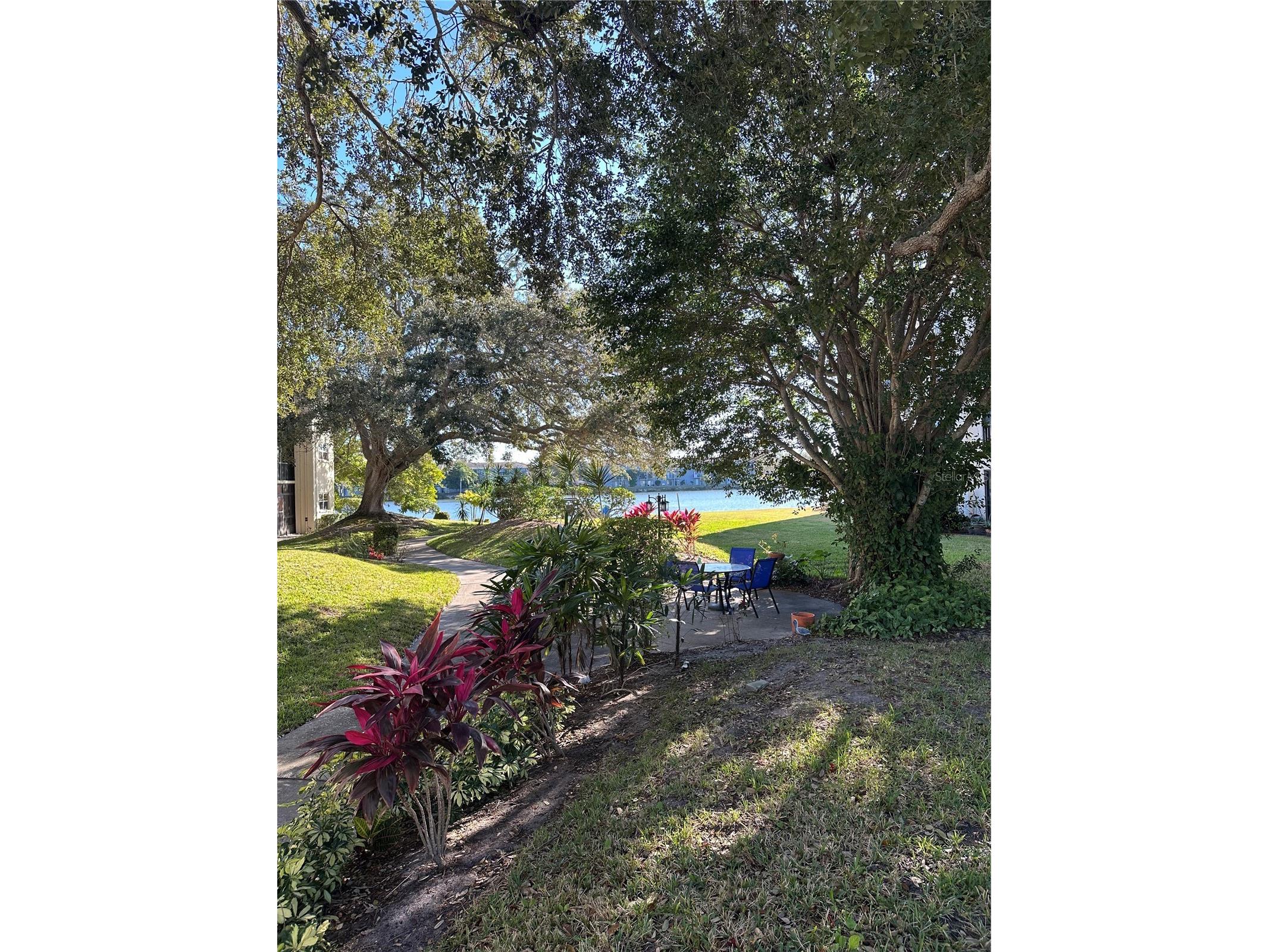 11485 Oakhurst Road #200-114 Largo FL 33774 TB8471419 image43