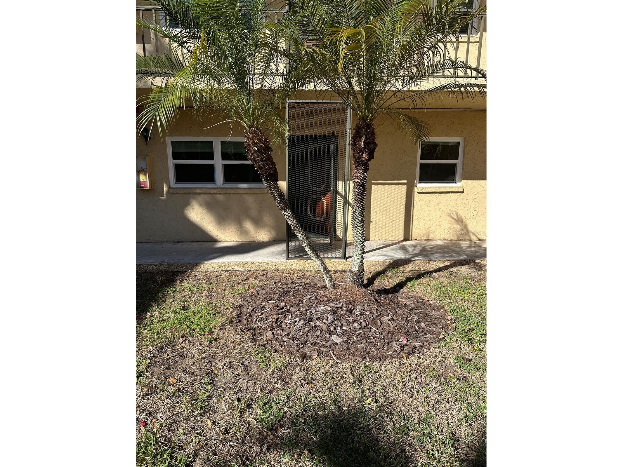 11485 Oakhurst Road #200-114 Largo FL 33774 TB8471419 image44