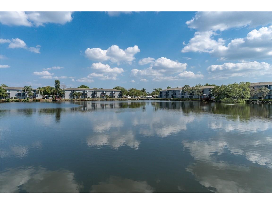 11485 Oakhurst Road #200-207 Largo FL 33774 TB8426734 image27