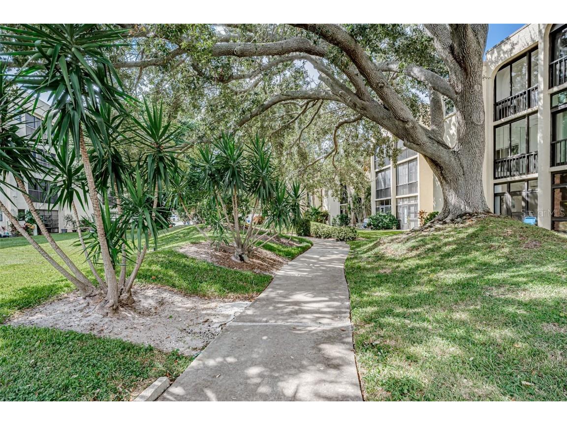 11485 Oakhurst Road #200-306 Largo FL 33774 TB8433155 image26
