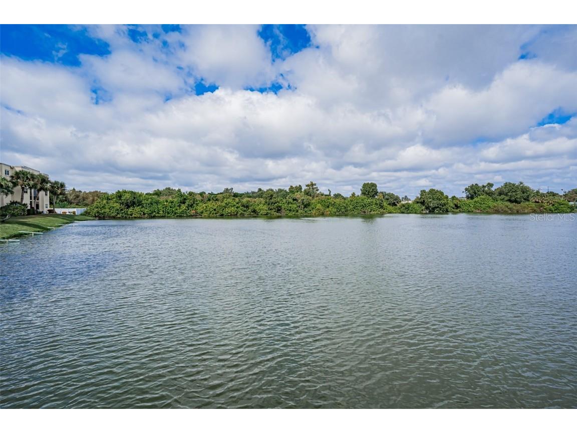 11485 Oakhurst Road #200-306 Largo FL 33774 TB8433155 image51