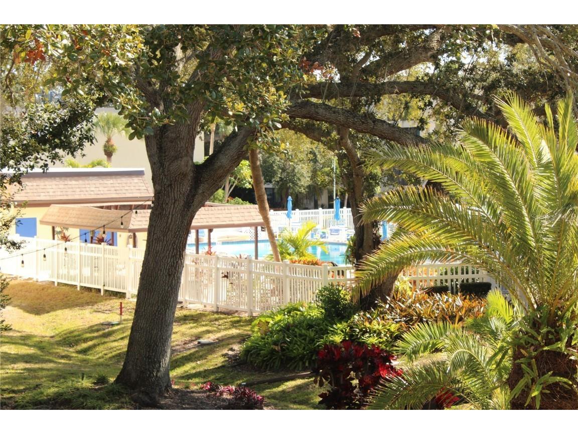 11485 Oakhurst Road #1200-215 Largo FL 33774 TB8456473 image34