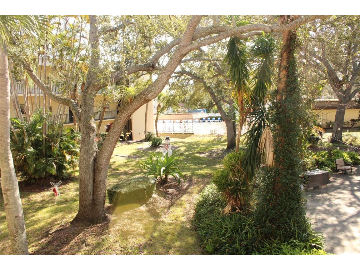 11485 Oakhurst Road #1200-215 Largo FL 33774 TB8456473 image36