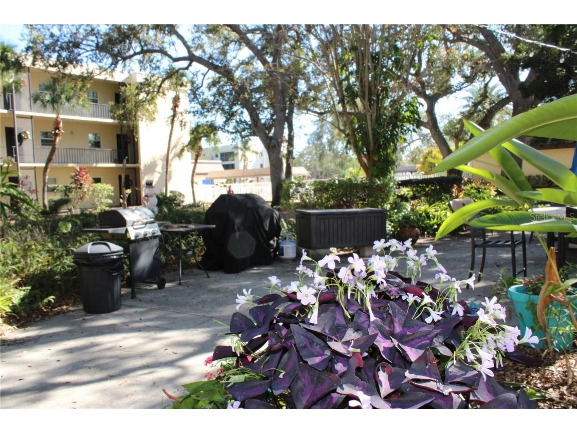 11485 Oakhurst Road #1200-215 Largo FL 33774 TB8456473 image58