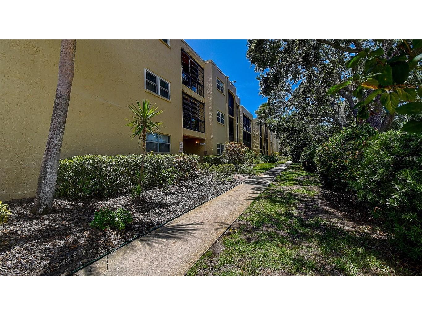 11485 Oakhurst Road #310 Largo FL 33774 TB8397713 image35