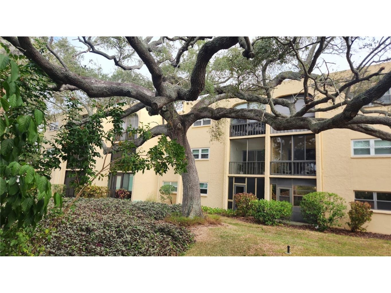 11485 Oakhurst Road #315 Largo FL 33774 TB8454175 image3