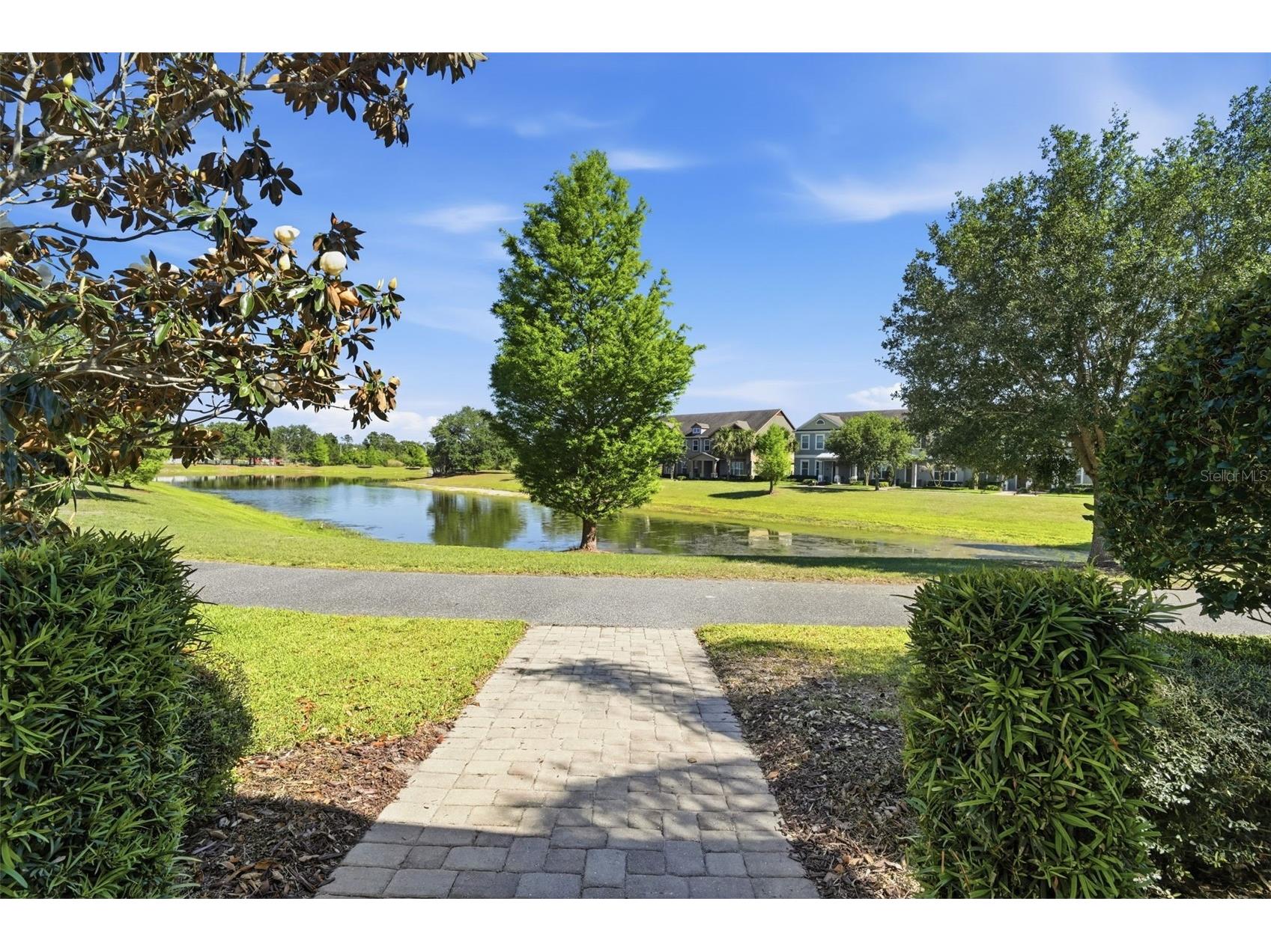 11486 Misty Oak Alley Windermere FL 34786 S5148331 image6