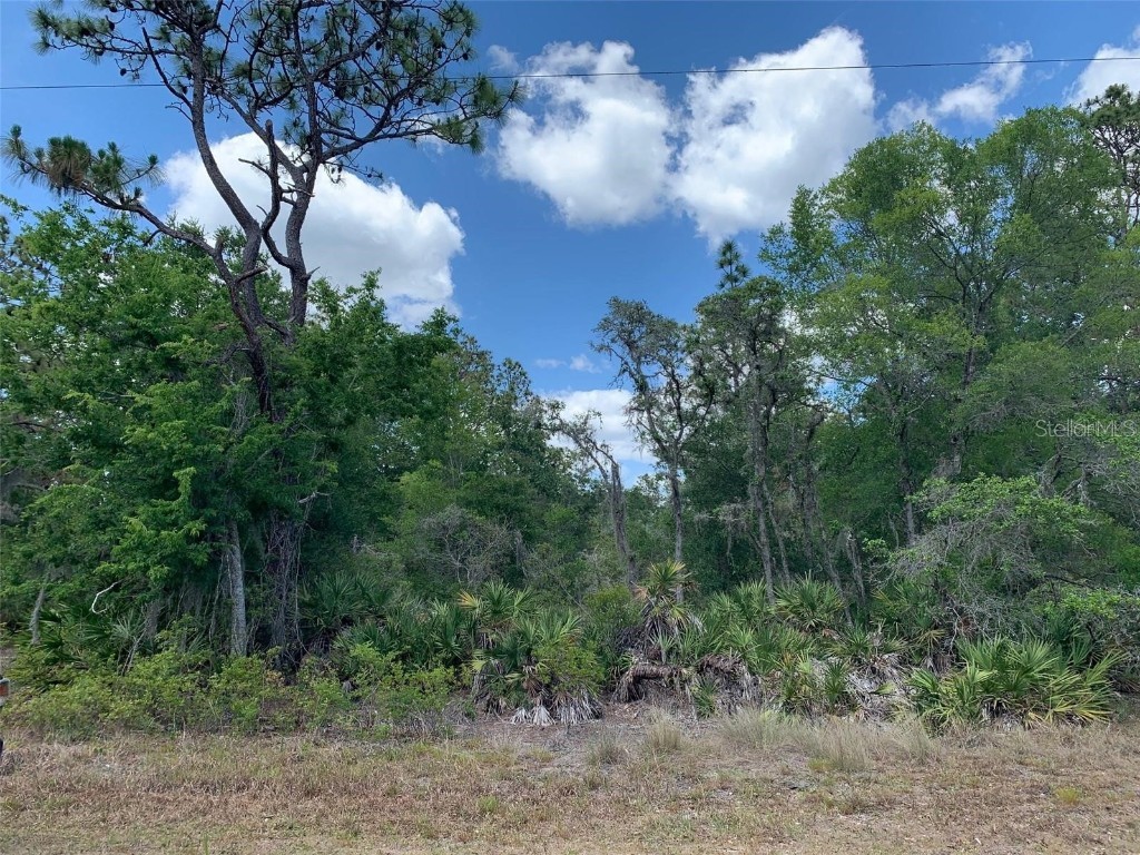 11489 W Cornflower Drive Crystal River FL 34428 W7851228 image1