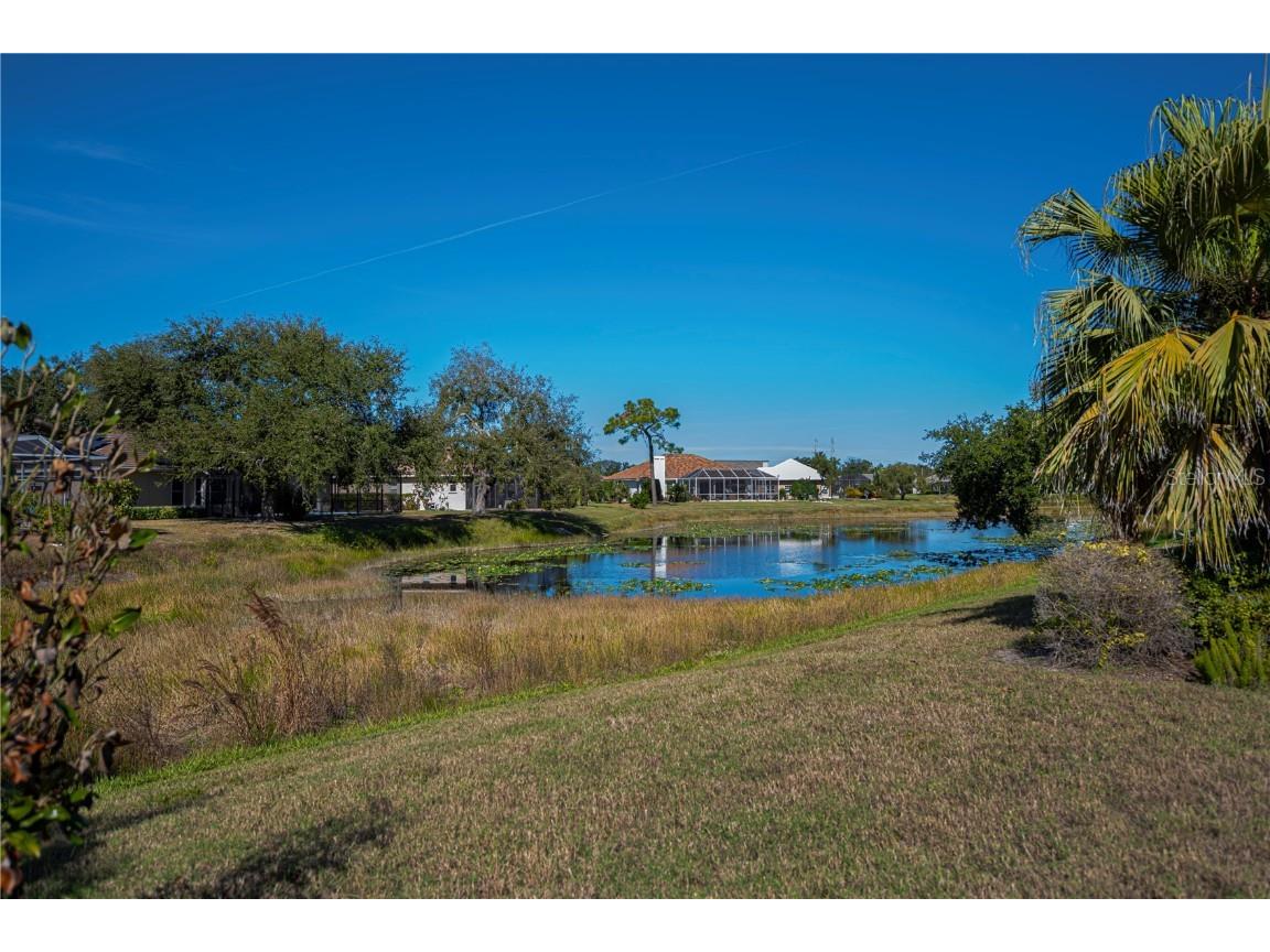 1149 Harbor Town Way Venice FL 34292 N6141469 image23