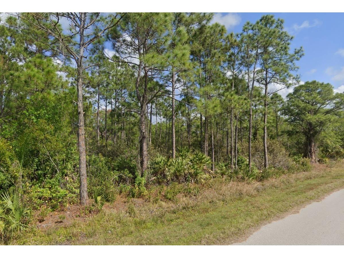 11490 3rd Avenue Punta Gorda FL 33955 C7486119 image3