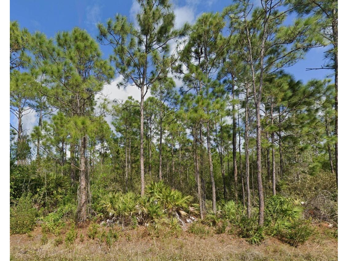 11490 3rd Avenue Punta Gorda FL 33955 C7486119 image4