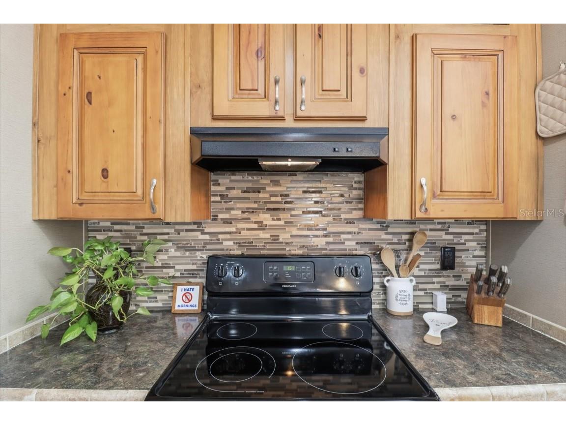 11490 N Wahoo Trail Dunnellon FL 34433 OM713915 image15