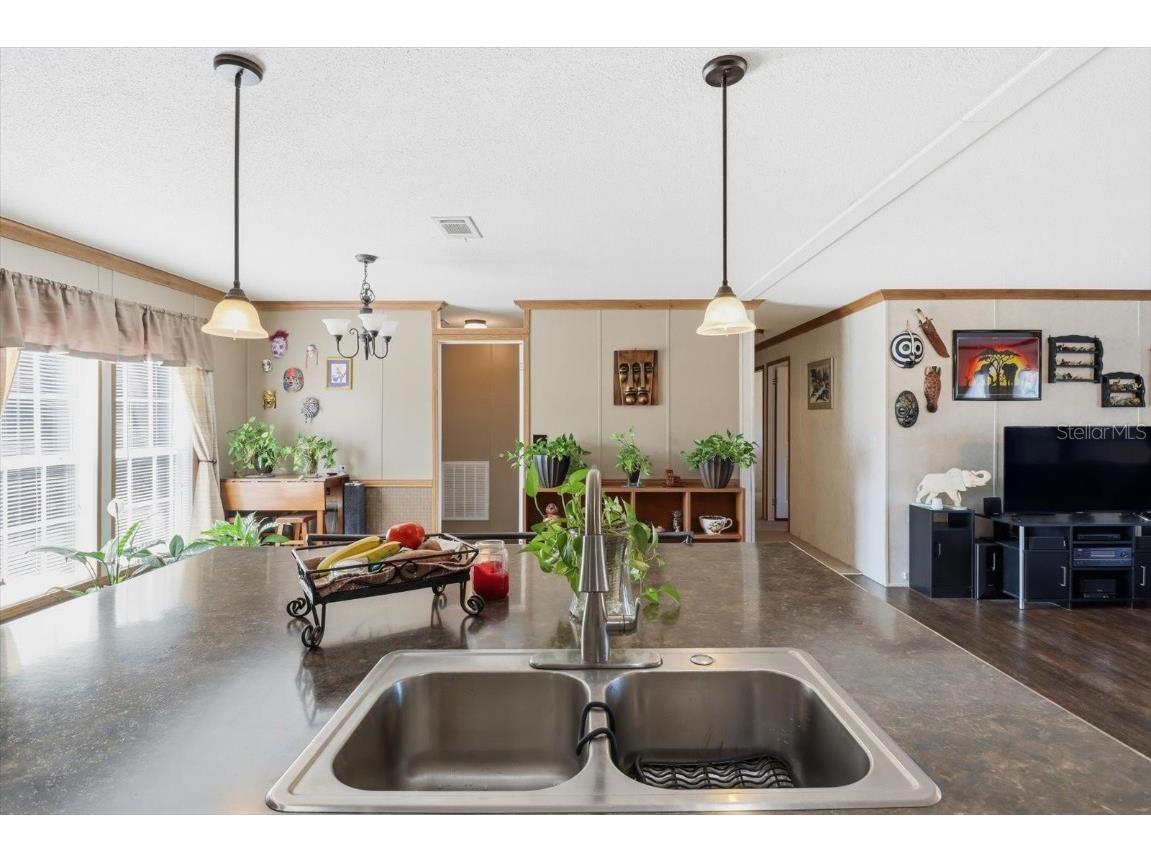 11490 N Wahoo Trail Dunnellon FL 34433 OM713915 image16