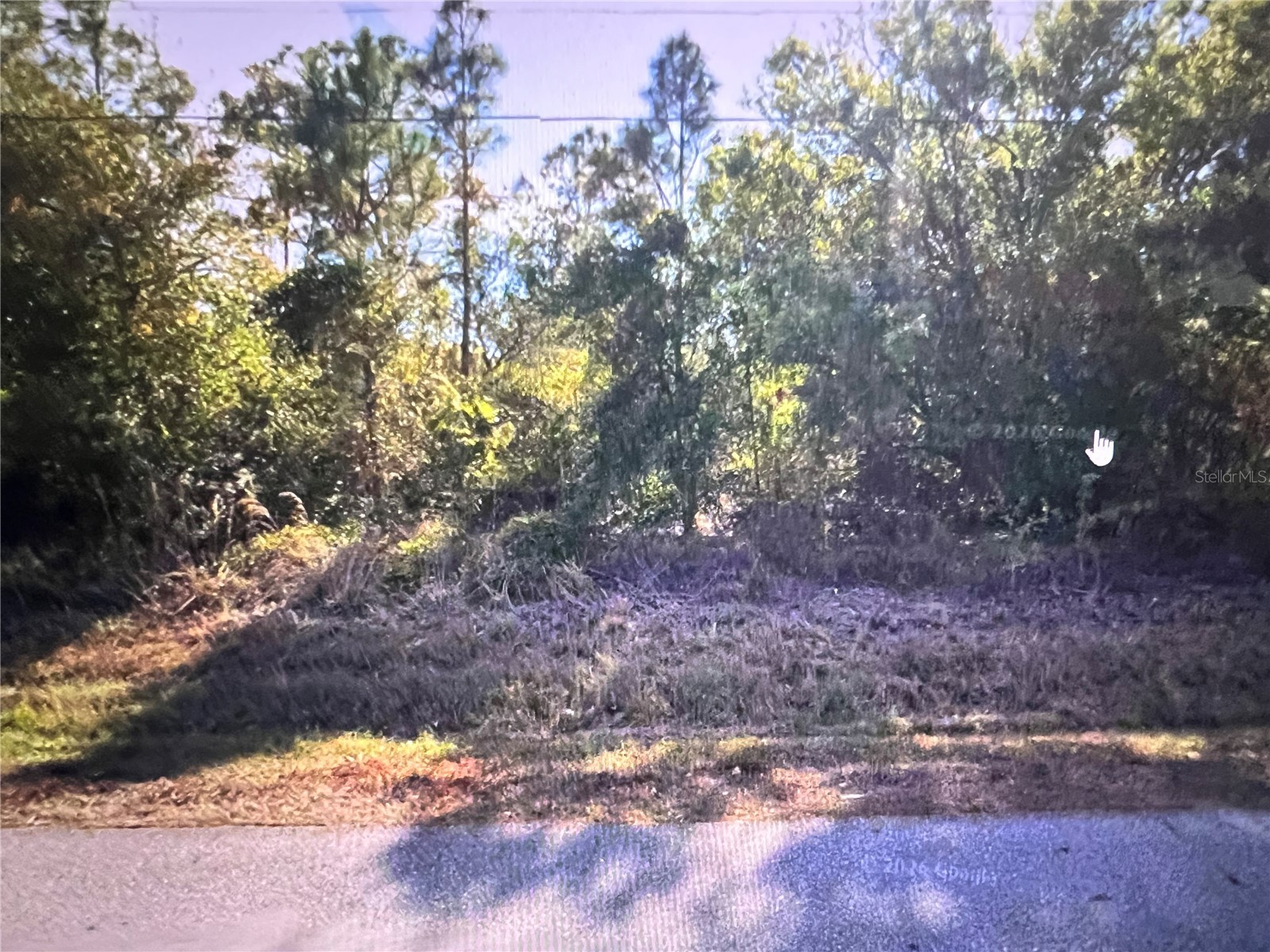 11491 2nd Avenue Punta Gorda FL 33955 C7527871 image2