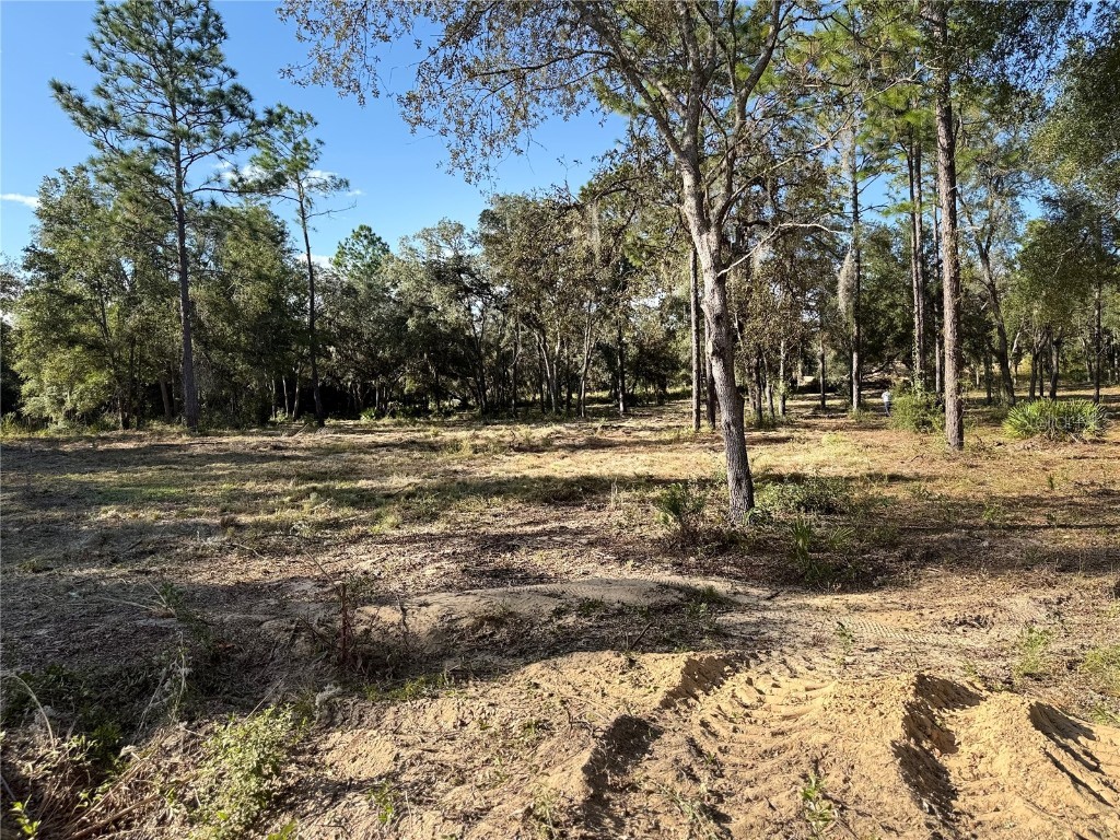 11491 NE 109th Pl Archer FL 32618 OM711424 image4