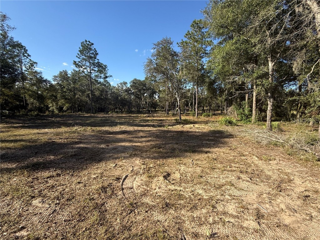 11491 NE 109th Pl Archer FL 32618 OM711424 image5