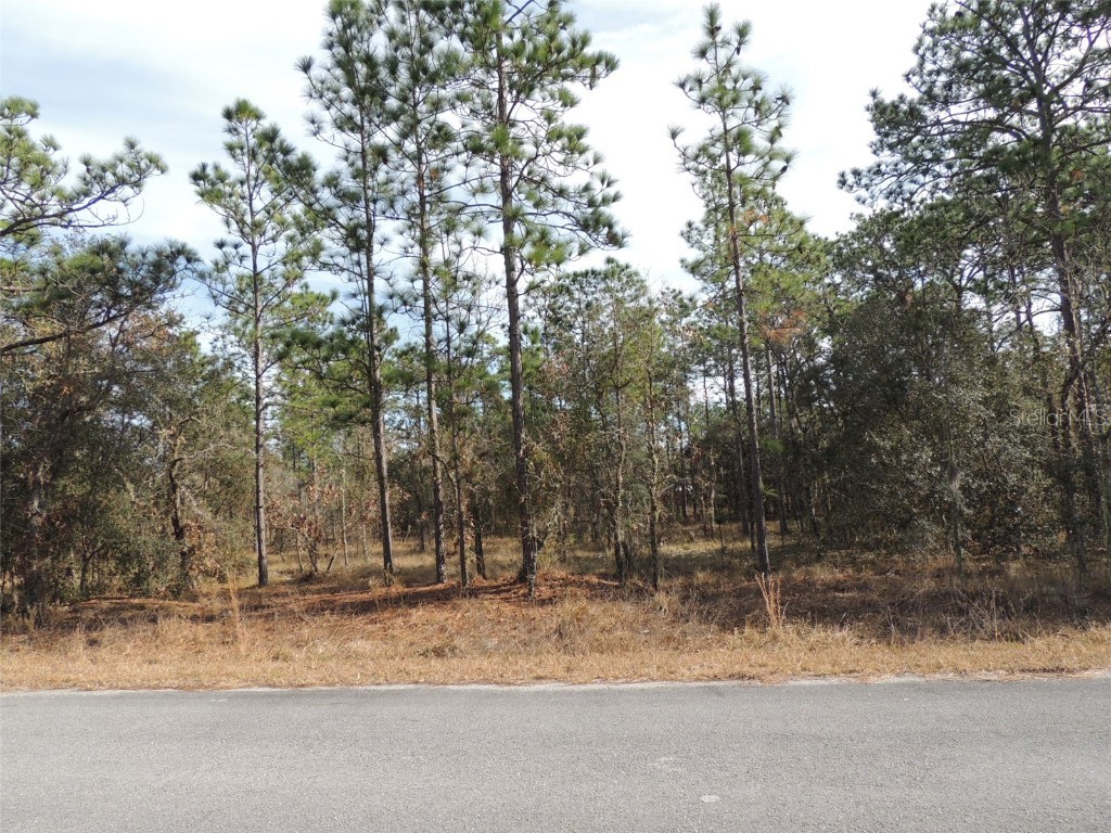 11491 SE 136th Terrace Dunnellon FL 34431 OM650763 image1