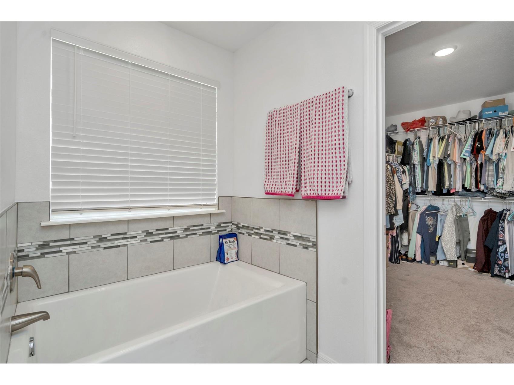 11495 June Briar Loop San Antonio FL 33576 TB8466057 image47