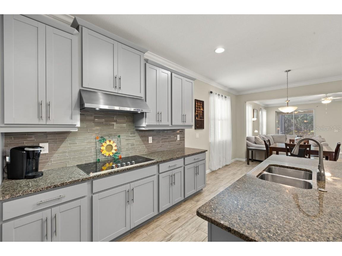 11499 Renaissance Boulevard Venice FL 34293 A4646803 image11