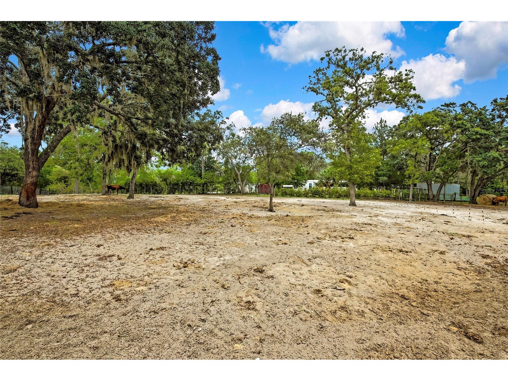 11499 Sedate Street Brooksville FL 34614 O6327627 image33