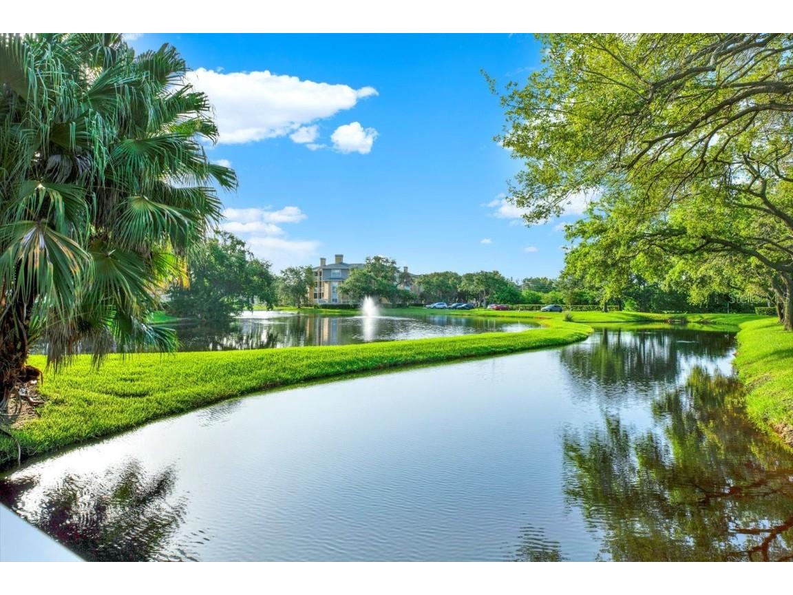 115 112th Avenue NE #1016 Saint Petersburg FL 33716 TB8423392 image51