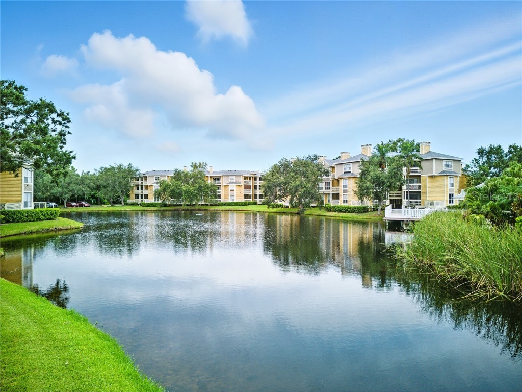 115 112th Avenue NE #1016 Saint Petersburg FL 33716 TB8423392 image54