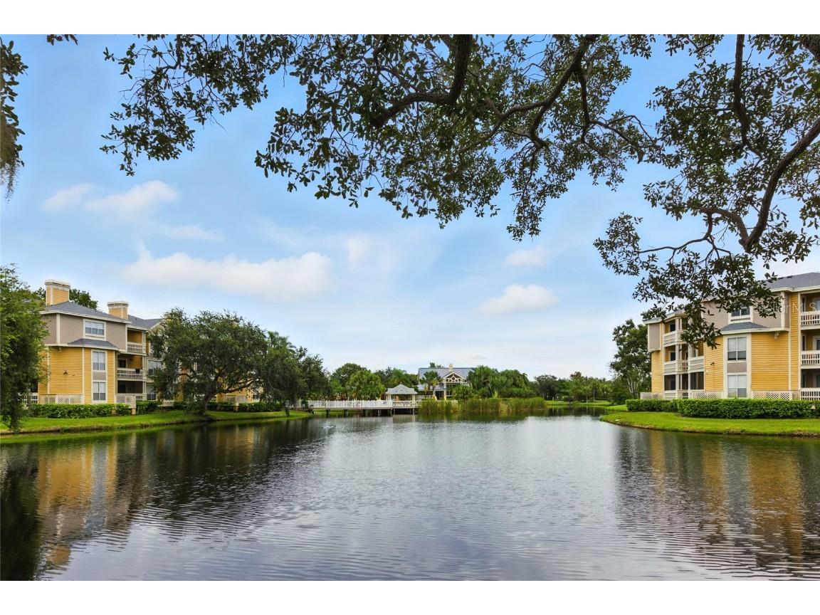 115 112th Avenue NE #1016 Saint Petersburg FL 33716 TB8423392 image62