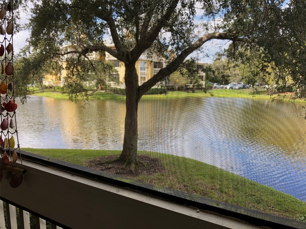 115 112th Avenue NE #104 Saint Petersburg FL 33716 TB8439460 image11