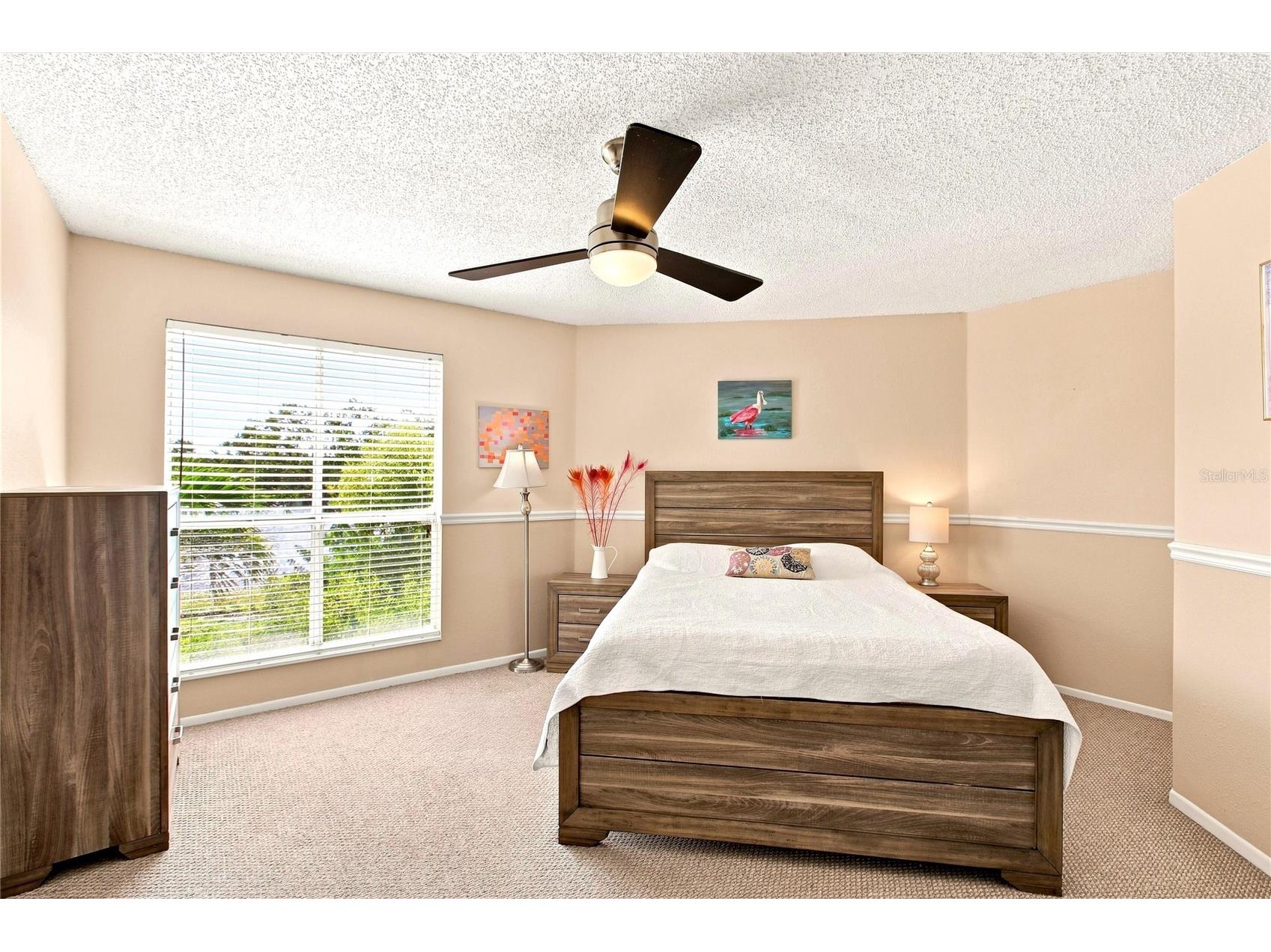 115 112th Avenue NE #307 Saint Petersburg FL 33716 TB8528837 image15