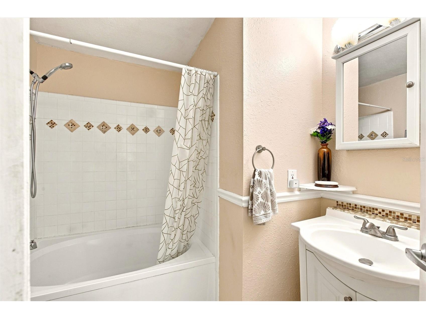 115 112th Avenue NE #307 Saint Petersburg FL 33716 TB8528837 image19