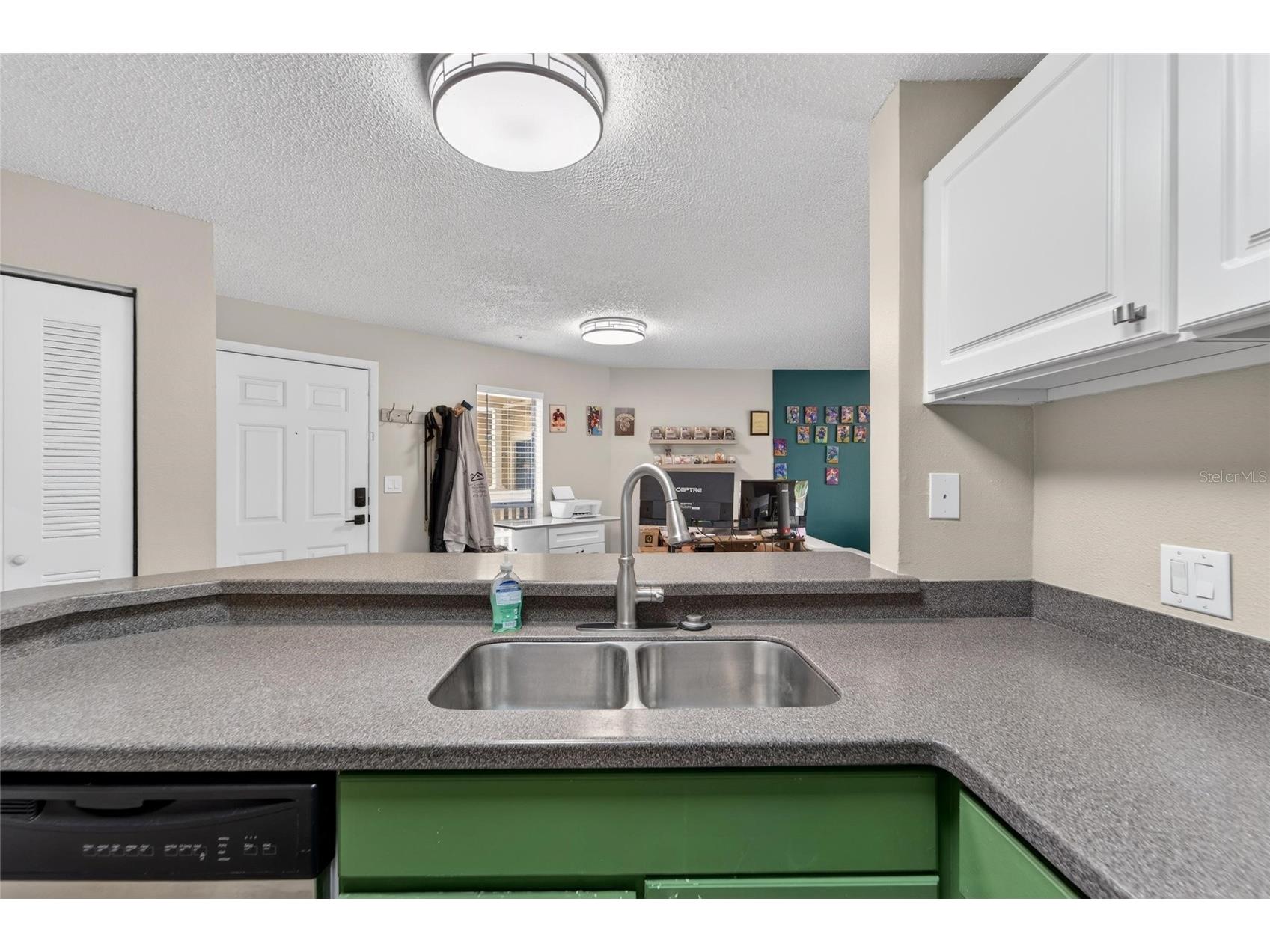 115 112th Avenue NE #406 Saint Petersburg FL 33716 TB8498954 image15