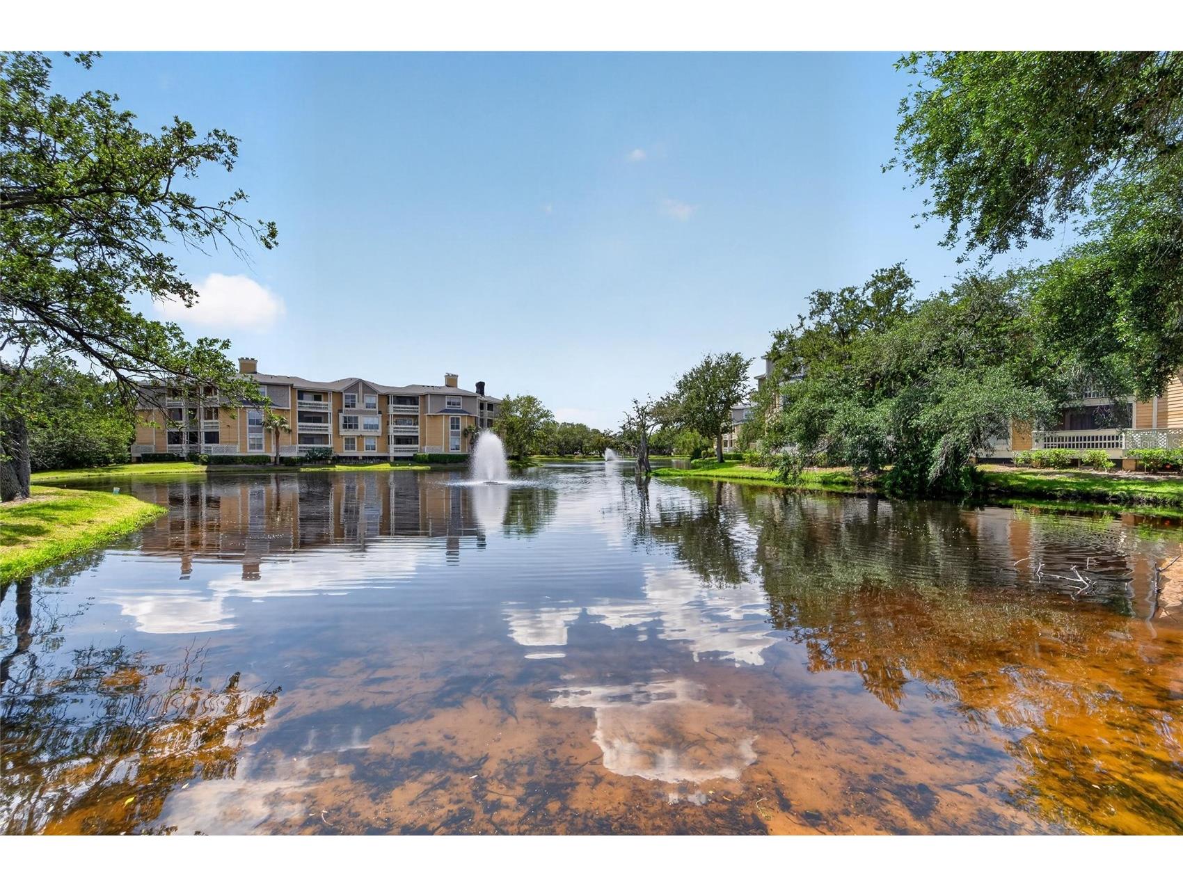 115 112th Avenue NE #406 Saint Petersburg FL 33716 TB8498954 image41