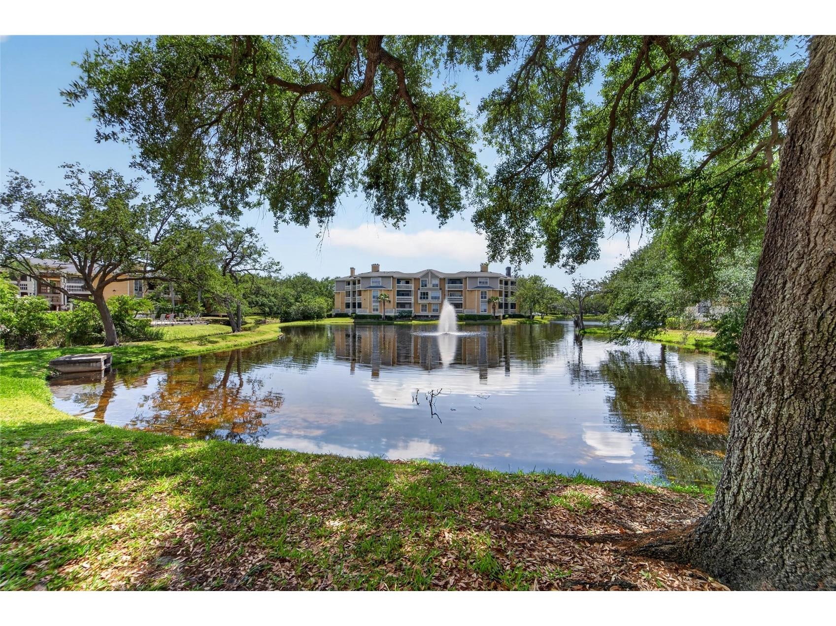 115 112th Avenue NE #406 Saint Petersburg FL 33716 TB8498954 image43