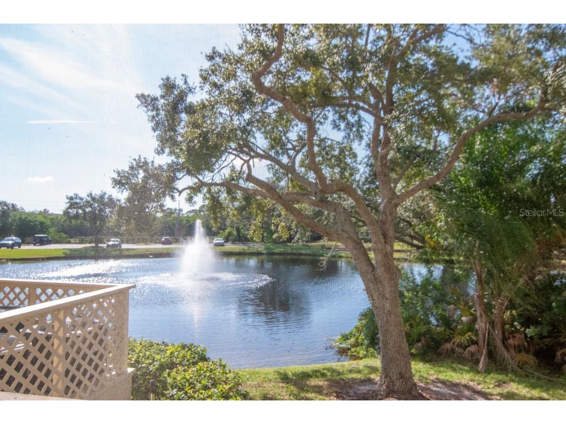 115 112th Avenue NE #602 Saint Petersburg FL 33716 TB8452603 image24