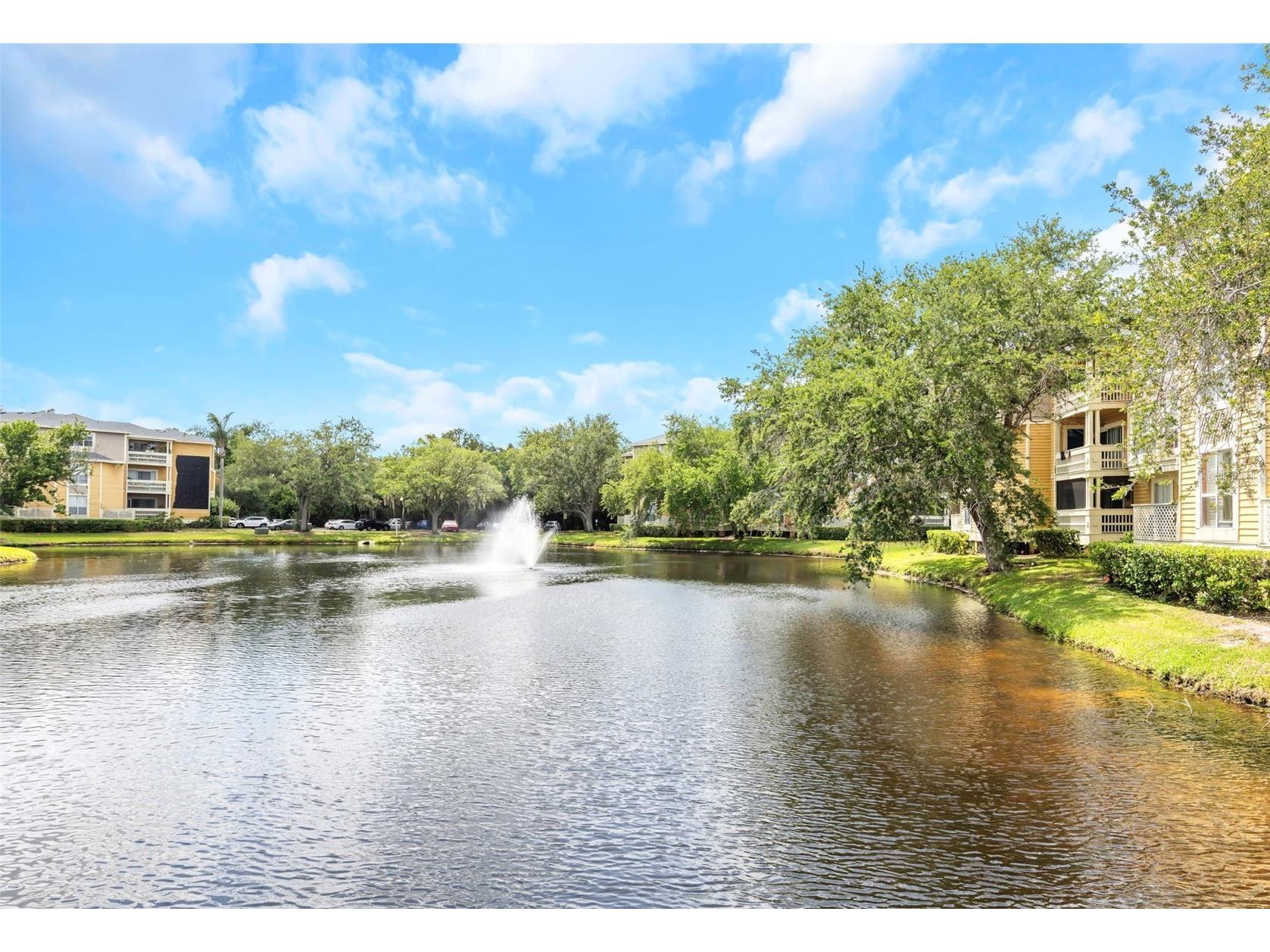 115 112th Avenue NE #703 Saint Petersburg FL 33716 TB8501457 image7