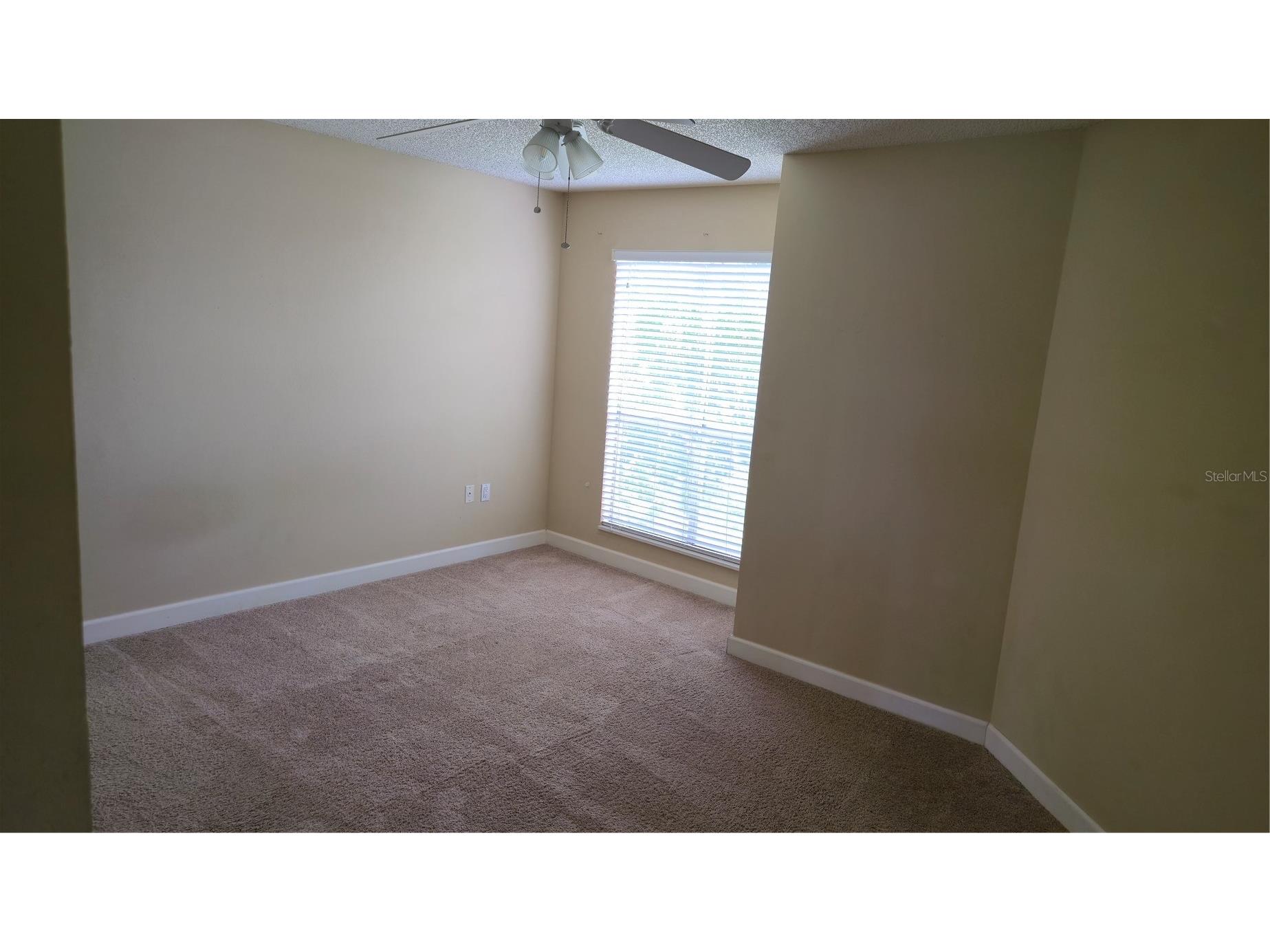 115 112th Avenue NE #810 Saint Petersburg FL 33716 TB8528151 image16