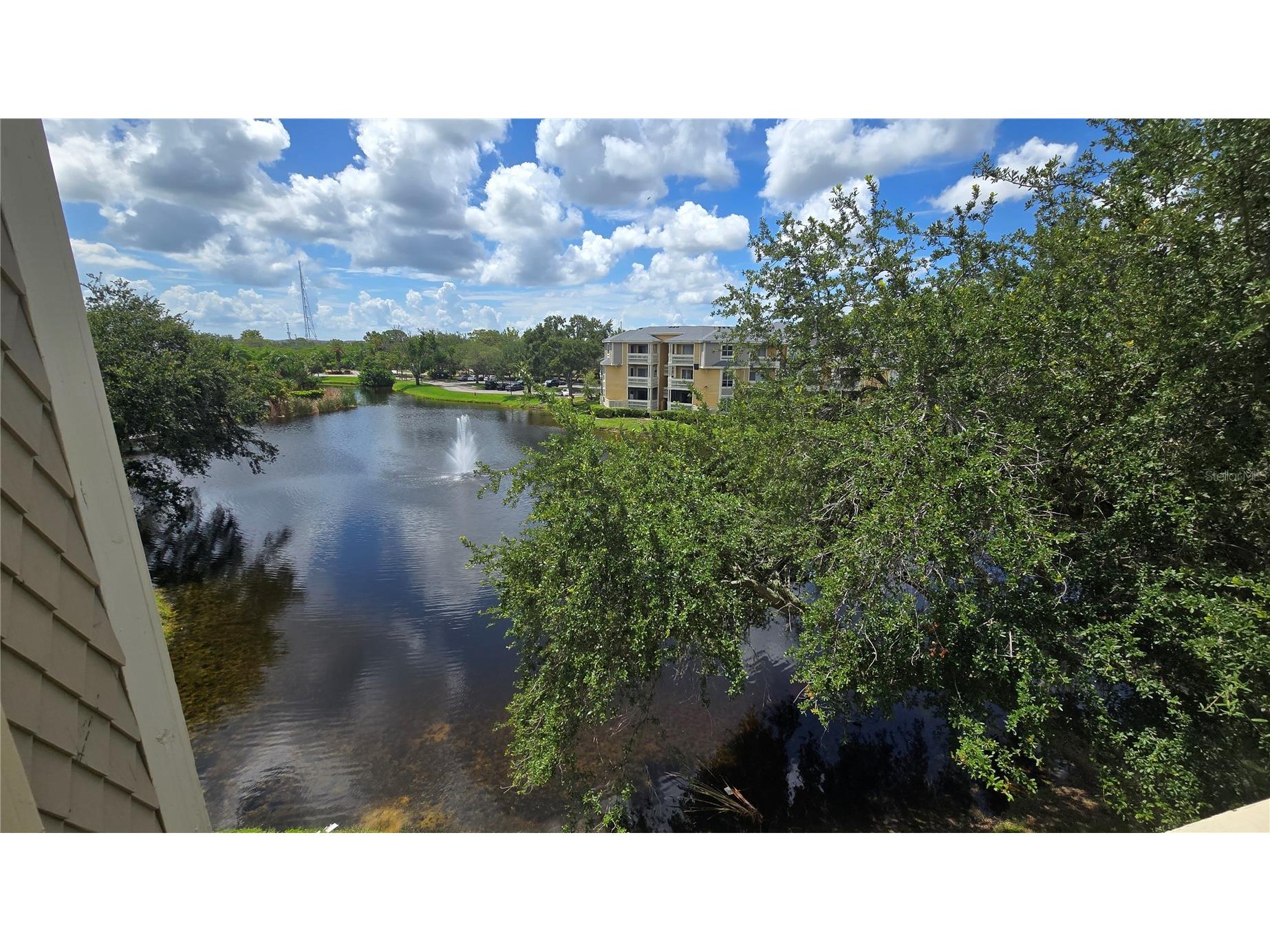 115 112th Avenue NE #810 Saint Petersburg FL 33716 TB8528151 image22