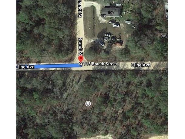 115 Branch Avenue Interlachen FL 32148 OM625877 image2