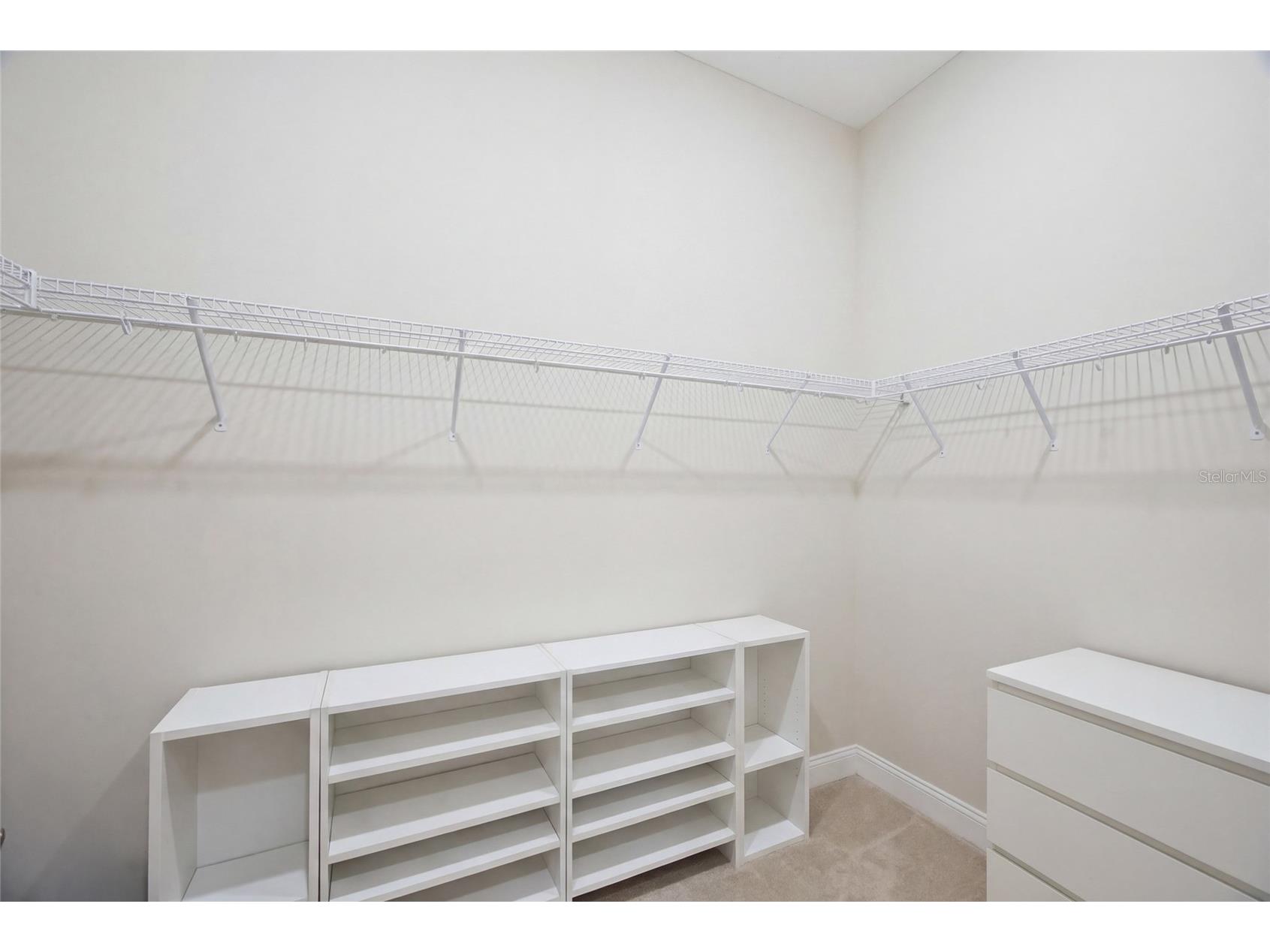 115 Brookover Lane Brandon FL 33511 TB8491132 image14