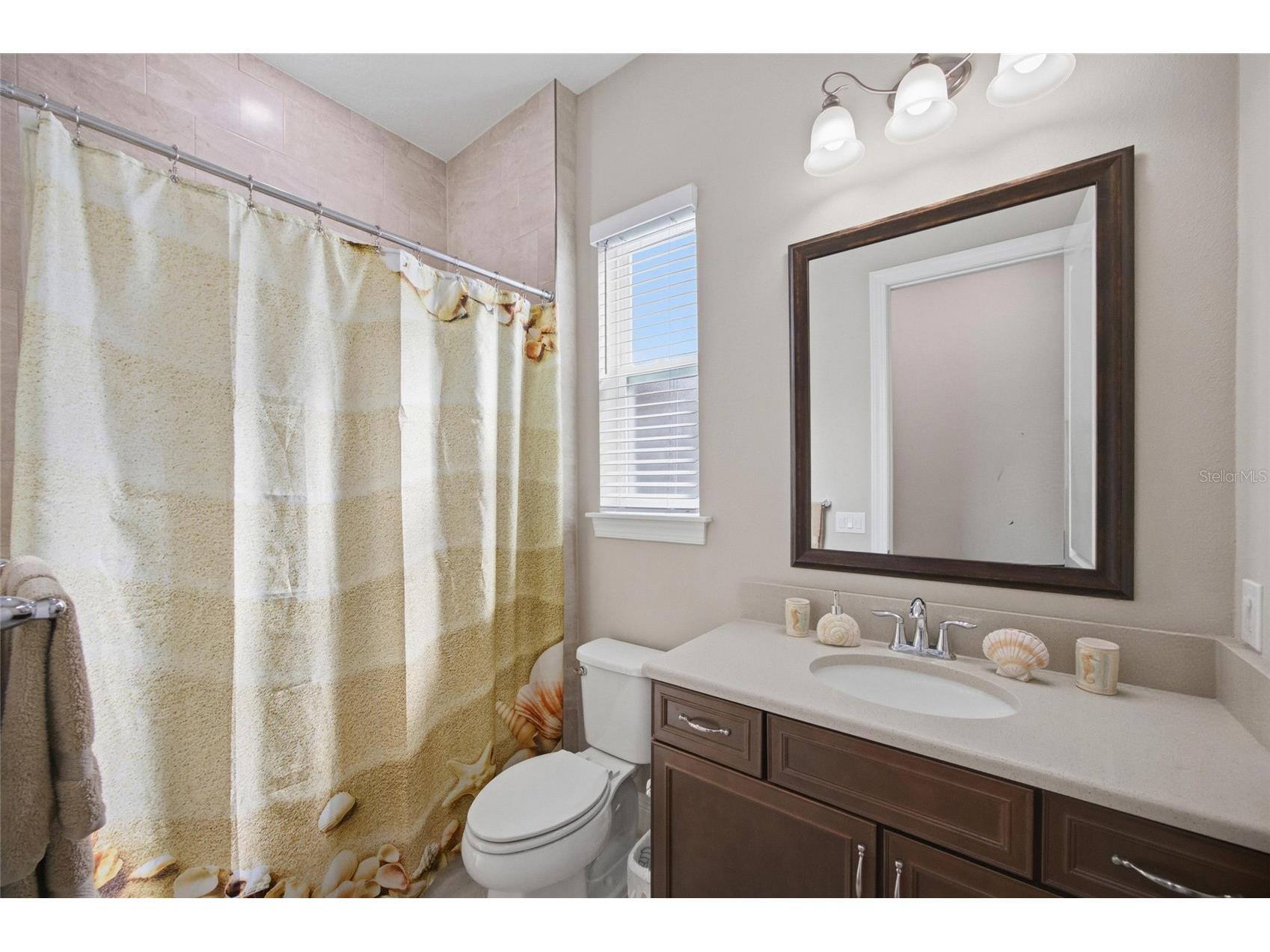 115 Brookover Lane Brandon FL 33511 TB8491132 image24
