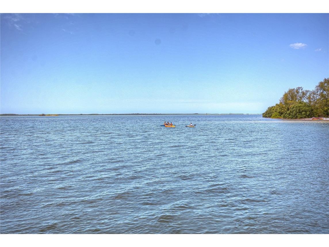 115 Buena Vista Drive S Dunedin FL 34698 - GULF /ST. JOSEPH SOUND TB8449323 image74