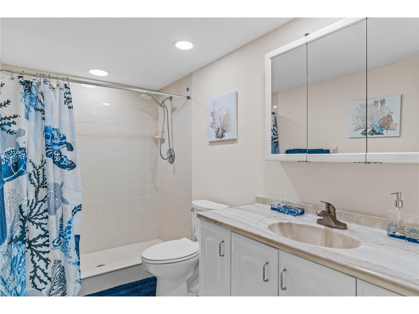 115 Canal Avenue #3 Indian Rocks Beach FL 33785 TB8458730 image17