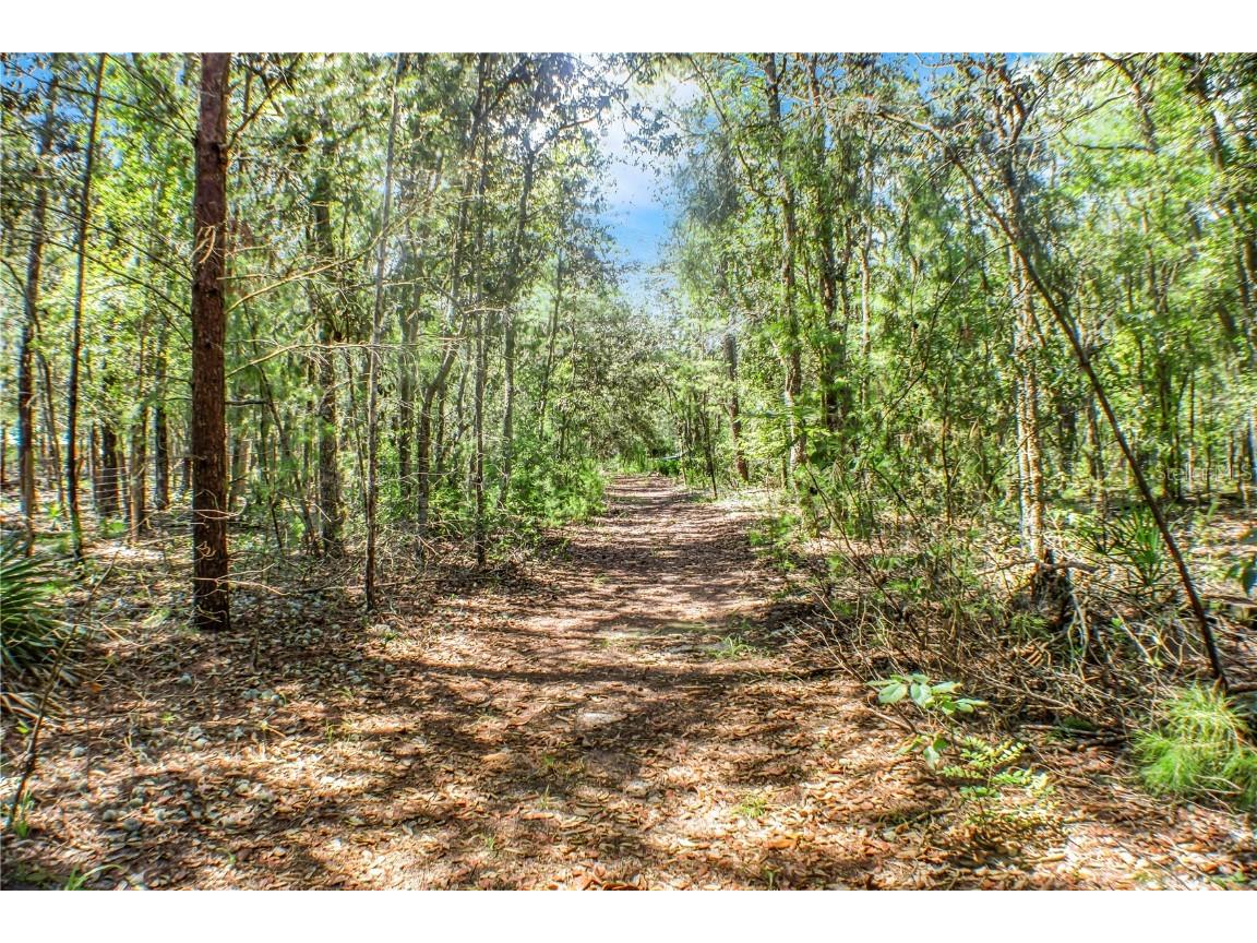 115 Coral Avenue Interlachen FL 32148 FC310758 image1