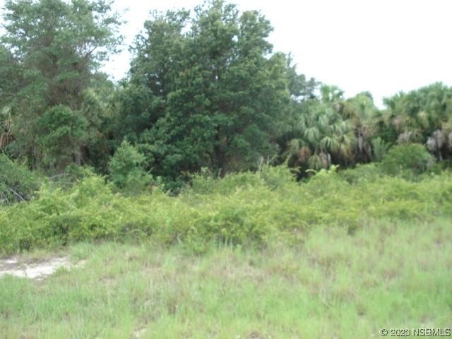 115 Chase Drive Out Of Area FL 32189 NS1073763 image1