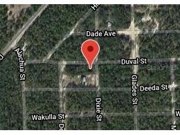 115 Duval Avenue Florahome FL 32140 OM630045 image2