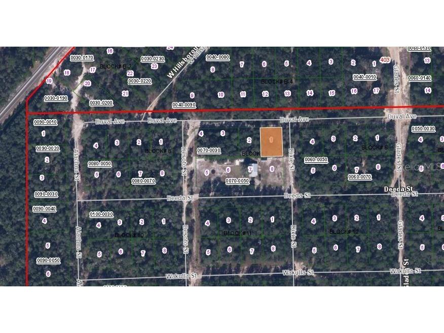 115 Duval Avenue Florahome FL 32140 OM630045 image3